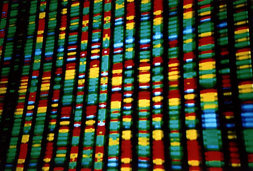Google DNA Venture